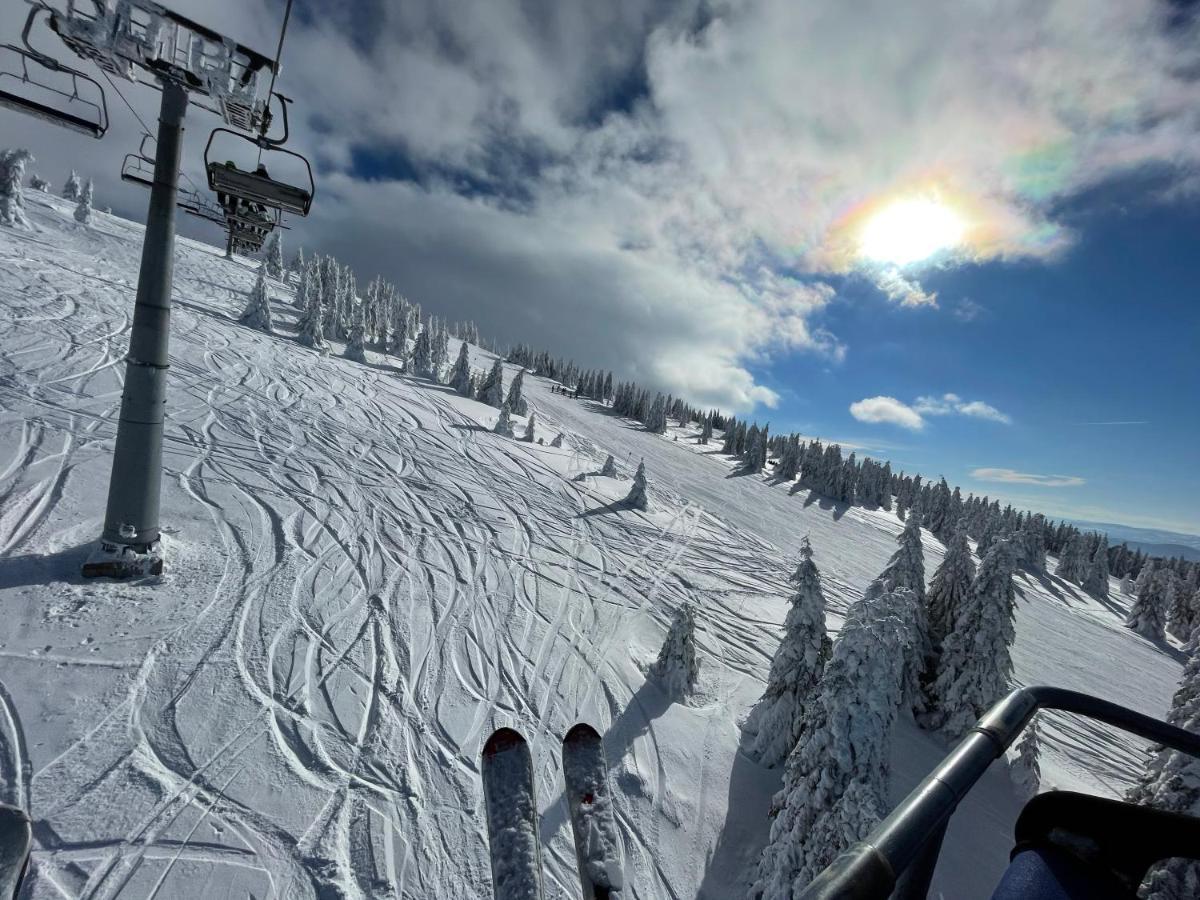 Pano Kopaonik Panorama Apartment ภายนอก รูปภาพ